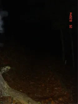 Episode Guide Thumbnail